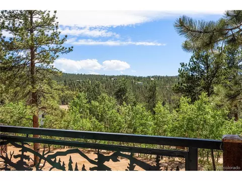 Exterior - 256 Houston St, Bailey, CO 80421 photo 4 of 10