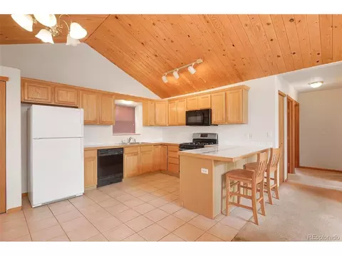 48 Ball Rd, Bailey, CO 80421 photo 11