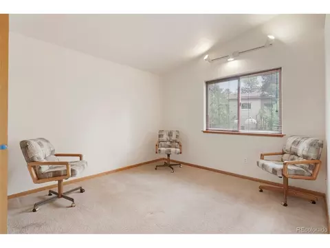 48 Ball Rd, Bailey, CO 80421 photo 16
