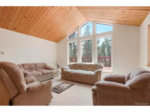 48 Ball Rd, Bailey, CO 80421 photo 8