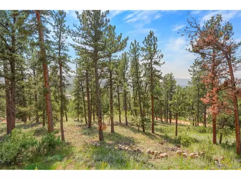 48 Ball Rd, Bailey, CO 80421 photo 5