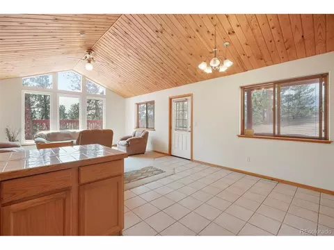 48 Ball Rd, Bailey, CO 80421 photo 14