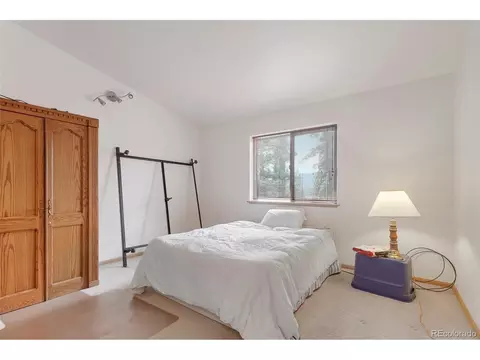 48 Ball Rd, Bailey, CO 80421 photo 19