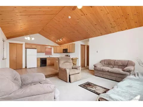 48 Ball Rd, Bailey, CO 80421 photo 10