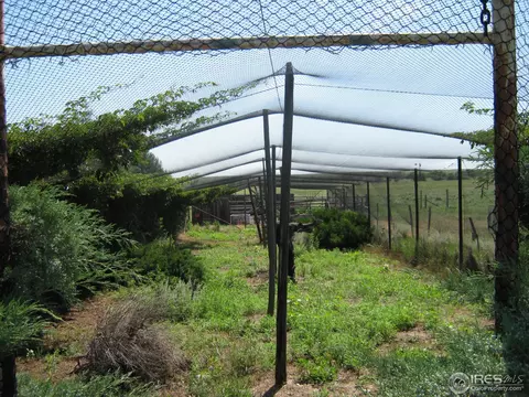 7499 County Road J, Wiggins, CO 80654 photo 23