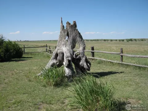 7499 County Road J, Wiggins, CO 80654 photo 22