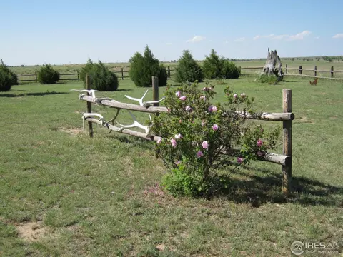 7499 County Road J, Wiggins, CO 80654 photo 9