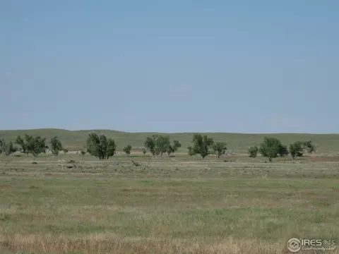 7499 County Road J, Wiggins, CO 80654 photo 25