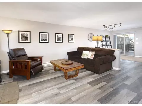 6954 Ryan Gulch Rd, Silverthorne, CO 80498