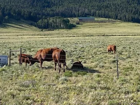 Eagle's Gate Rd, Westcliffe, CO 81252 photo 3