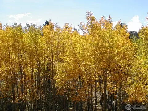 850 Aspen Dr, Lyons, CO 80540 photo 21