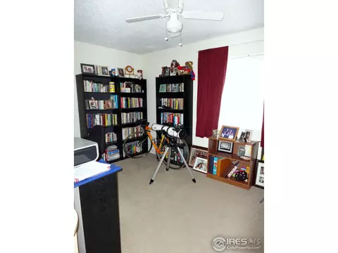 570 Pine Dr, Windsor, CO 80550 photo 9