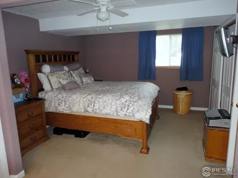 570 Pine Dr, Windsor, CO 80550 photo 6