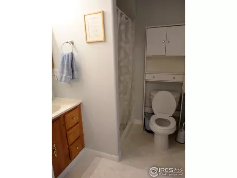 570 Pine Dr, Windsor, CO 80550 photo 8