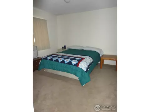 570 Pine Dr, Windsor, CO 80550 photo 10