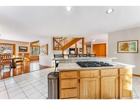1765 Red Hawk Rd, Silverthorne, CO 80498 photo 9