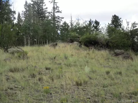 1157 Ourey Trl, Como, CO 80432 photo 11