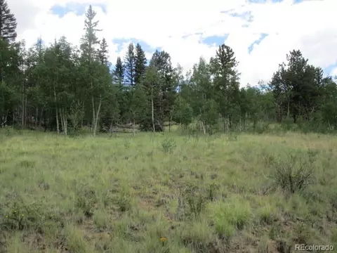 1157 Ourey Trl, Como, CO 80432 photo 6
