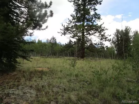 1157 Ourey Trl, Como, CO 80432 photo 18