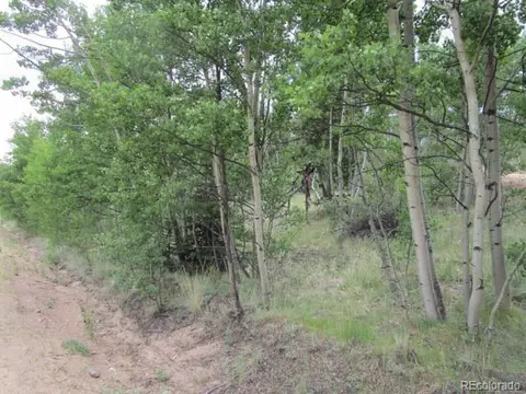 1157 Ourey Trl, Como, CO 80432 photo 5