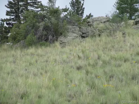 1157 Ourey Trl, Como, CO 80432 photo 9