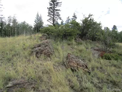 1157 Ourey Trl, Como, CO 80432 photo 12