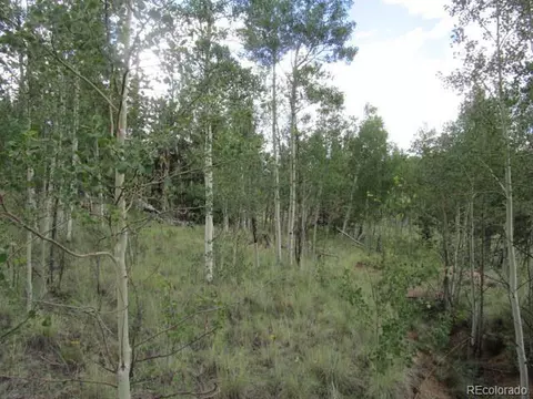 1157 Ourey Trl, Como, CO 80432 photo 16