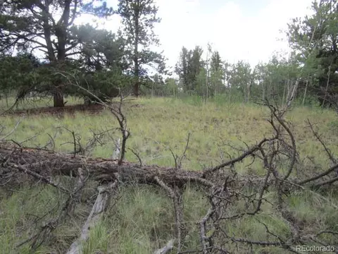 1157 Ourey Trl, Como, CO 80432 photo 17