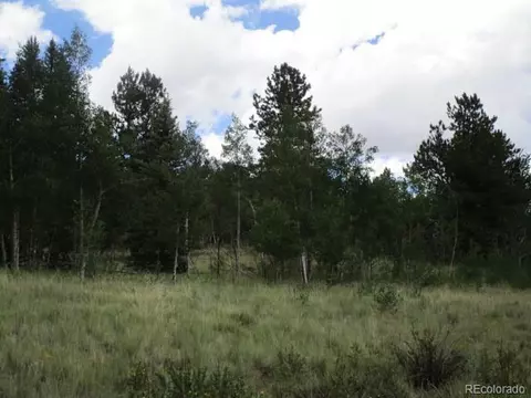 1157 Ourey Trl, Como, CO 80432 photo 2