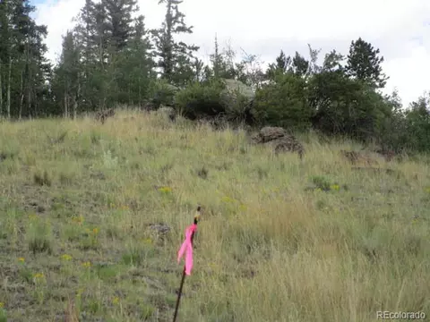 1157 Ourey Trl, Como, CO 80432 photo 10