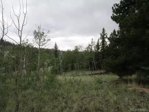 1157 Ourey Trl, Como, CO 80432 photo 19
