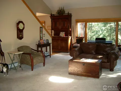 54 Ute Crossing Ct, Lyons, CO 80540 photo 10