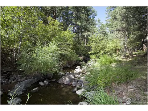 54 Ute Crossing Ct, Lyons, CO 80540 photo 14