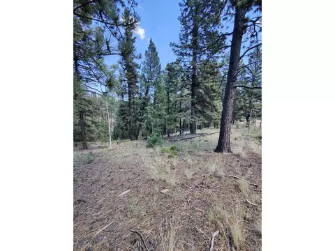 49 Trappers Lake Cir, Divide, CO 80814