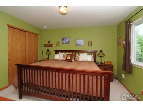 920 Cliffrose Way, Severance, CO 80550 photo 8