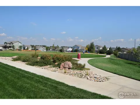 920 Cliffrose Way, Severance, CO 80550 photo 19
