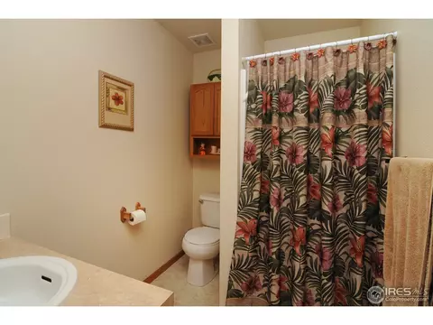 920 Cliffrose Way, Severance, CO 80550 photo 9