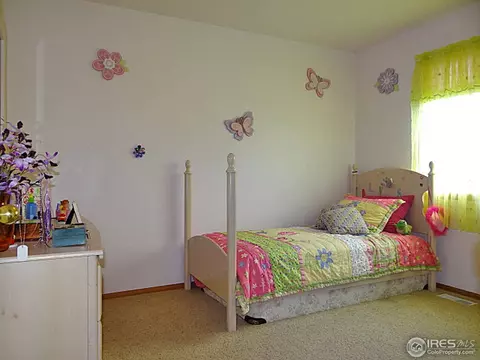415 14th St, Windsor, CO 80550 photo 18