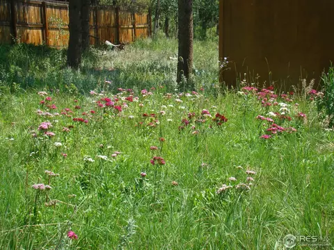 192 Apollo Dr, Black Hawk, CO 80422 photo 12