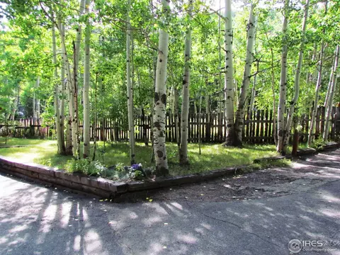 225 Peaceful Valley Rd, Lyons, CO 80540 photo 4
