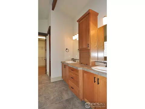 6666 Murano Dr, Windsor, CO 80550 photo 16