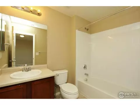 1646 Merton Ct, Windsor, CO 80550 photo 22