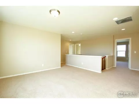 1646 Merton Ct, Windsor, CO 80550 photo 13