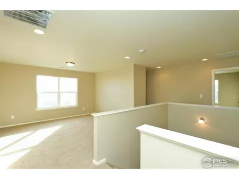 1646 Merton Ct, Windsor, CO 80550 photo 12