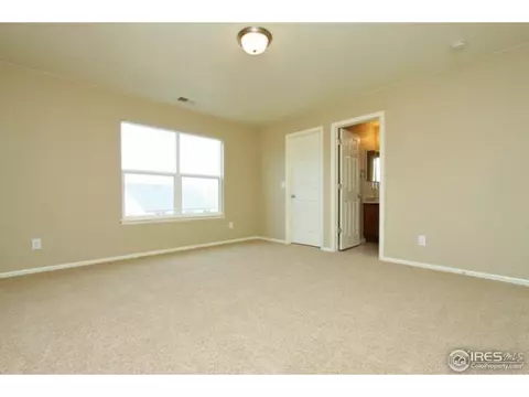1646 Merton Ct, Windsor, CO 80550 photo 21