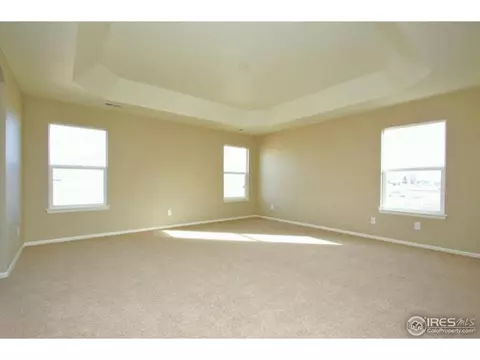 1646 Merton Ct, Windsor, CO 80550 photo 16