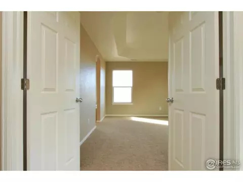 1646 Merton Ct, Windsor, CO 80550 photo 15