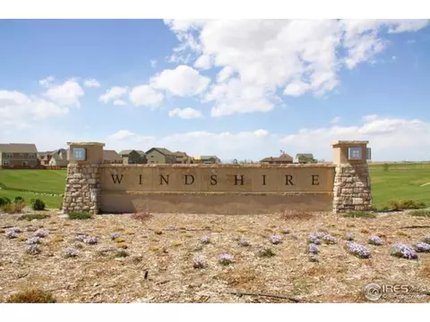 1646 Merton Ct, Windsor, CO 80550 photo 24