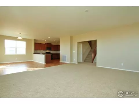 1646 Merton Ct, Windsor, CO 80550 photo 5