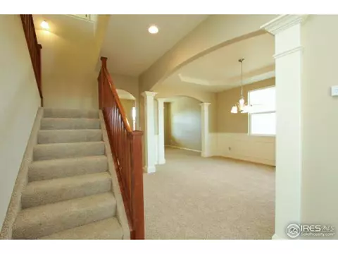 1646 Merton Ct, Windsor, CO 80550 photo 11